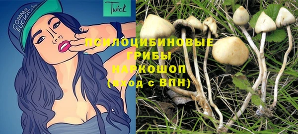 сатива Снежногорск