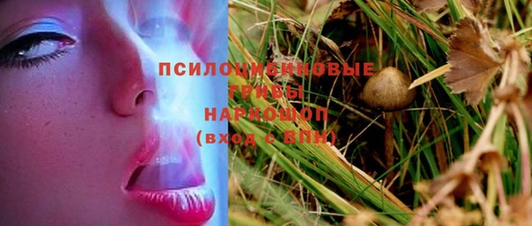 прущие крисы Армянск