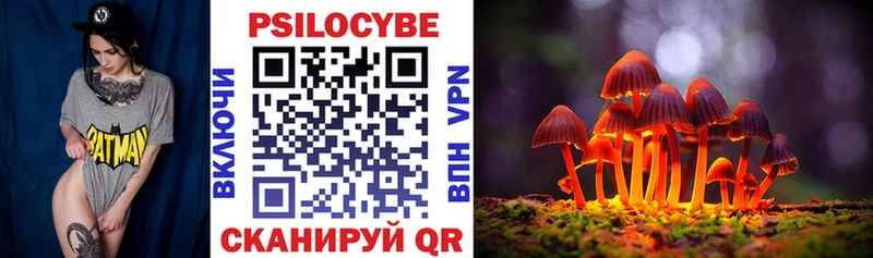Псилоцибиновые грибы MAGIC MUSHROOMS наркота Вичуга